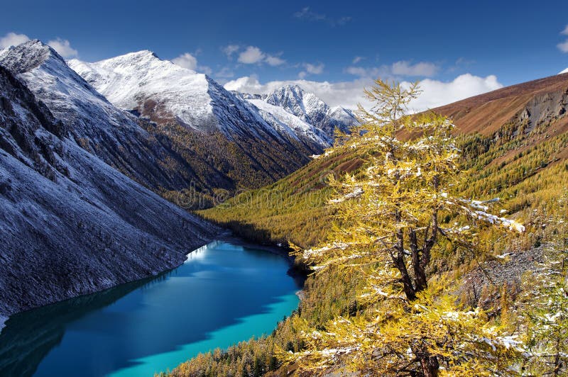 Озеро бирюз среди snowcapped гор и желтой лиственницы стоковая фотография Озеро бирюз среди snowcapped гор и желтой лиственницы стоковая фотография