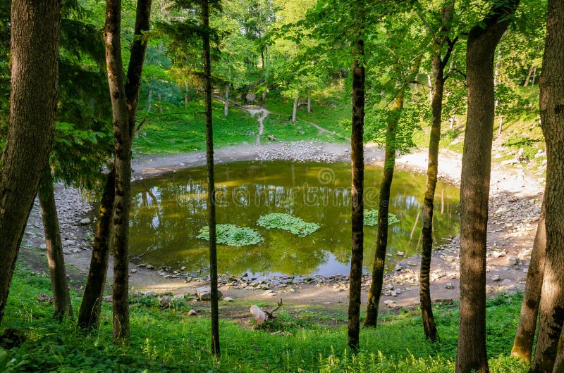 Озеро в кратере метеорита Kaali Остров Saaremaa, естонија стоковое фото Озеро в кратере метеорита Kaali Остров Saaremaa, естонија стоковое фото