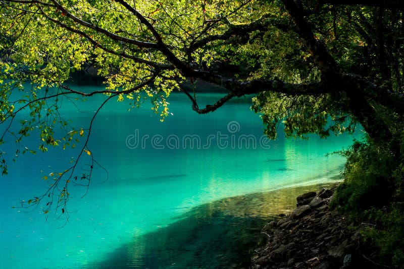 Озеро и деревья в Jiuzhaigou Valley, Сычуань, Китае стоковая фотография Озеро и деревья в Jiuzhaigou Valley, Сычуань, Китае стоковая фотография