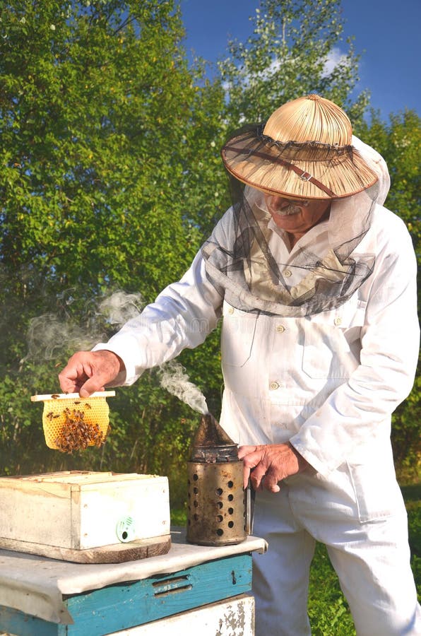Опытный старший beekeeper держа сот для стоковое фото Опытный старший beekeeper держа сот для стоковое фото