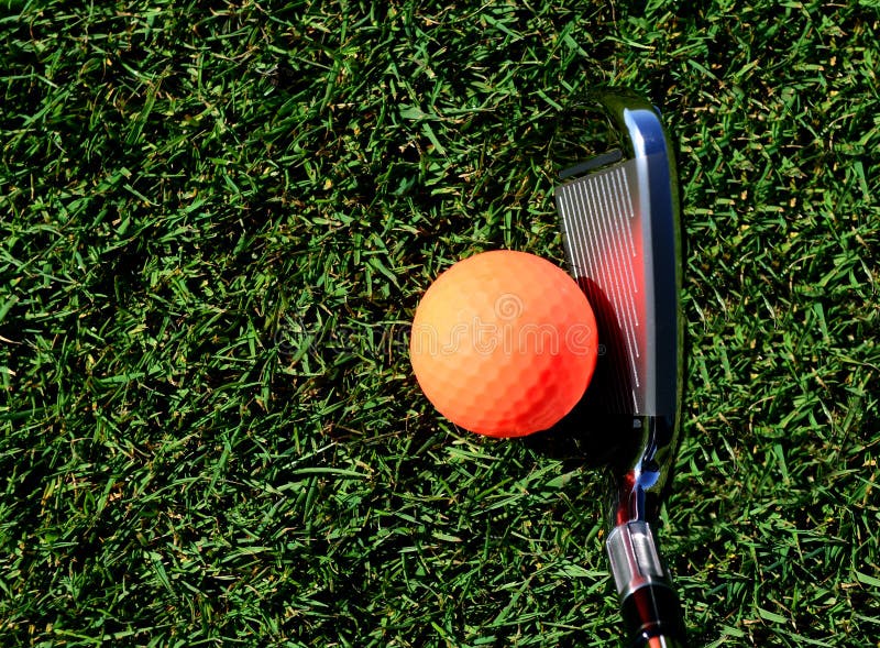 Orange golf ball ready to be hit by a golf club on a fairway. Orange golf ball ready to be hit by a golf club on a fairway