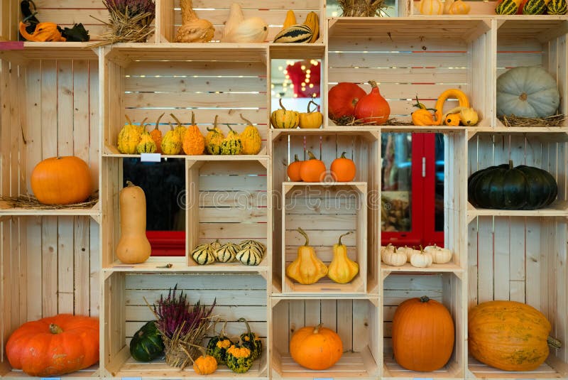 Организованная создание различных видов the smashing pumpkins, урожай осенью, украшения halloween стоковые изображения rf