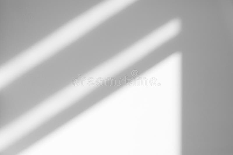 ОрганичеÑÐºÐ°Ñ Ñ‚ÐµÐ½ÑŒ на белой Ñтене стоковая фотография rf