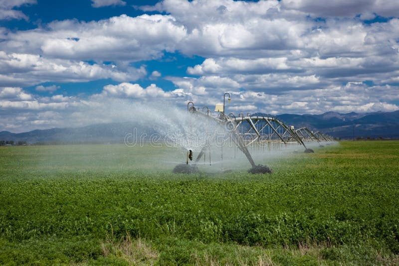 Center pivot agricultural irrigation system in an alfalfa field. Center pivot agricultural irrigation system in an alfalfa field