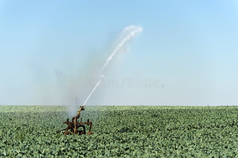 Irrigation system on a field. Irrigation system on a field