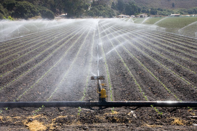 Irrigation plant in action, Lompoc in California, USA. Irrigation plant in action, Lompoc in California, USA