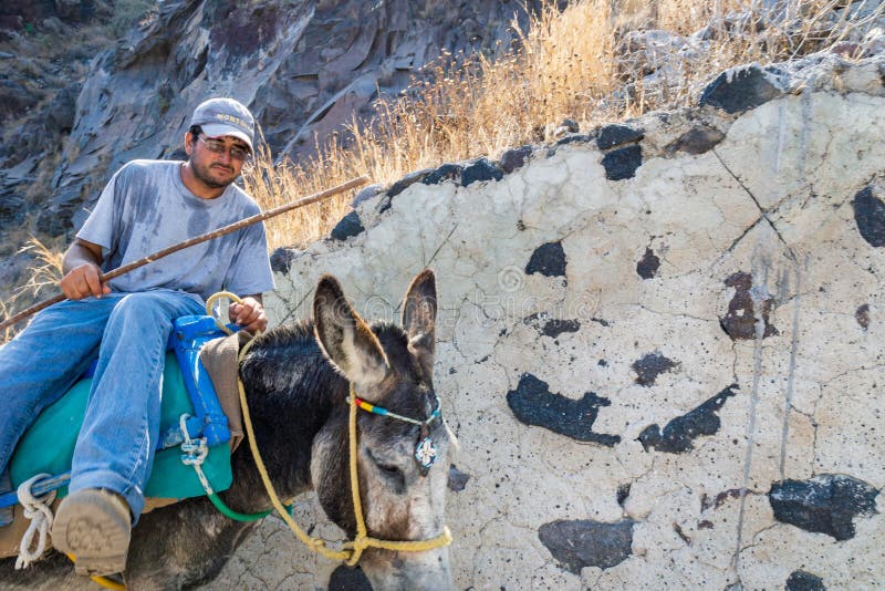Осел и его владелец в Santorini стоковая фотография rf Осел и его владелец в Santorini стоковая фотография rf