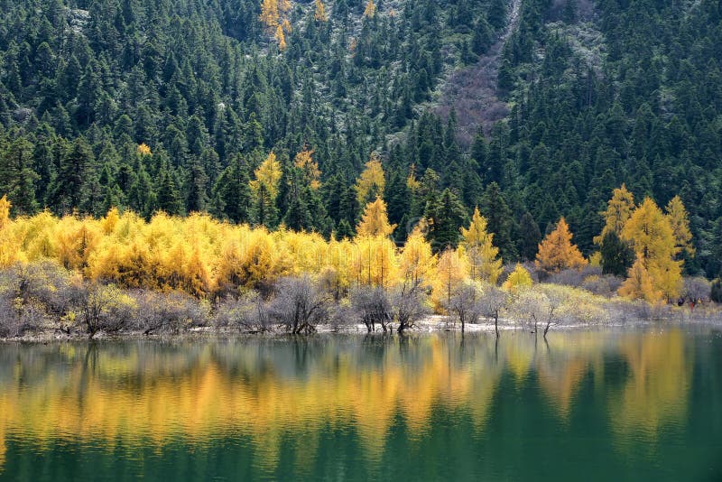 Осенн lakeshore стоковая фотография rf Осенн lakeshore стоковая фотография rf