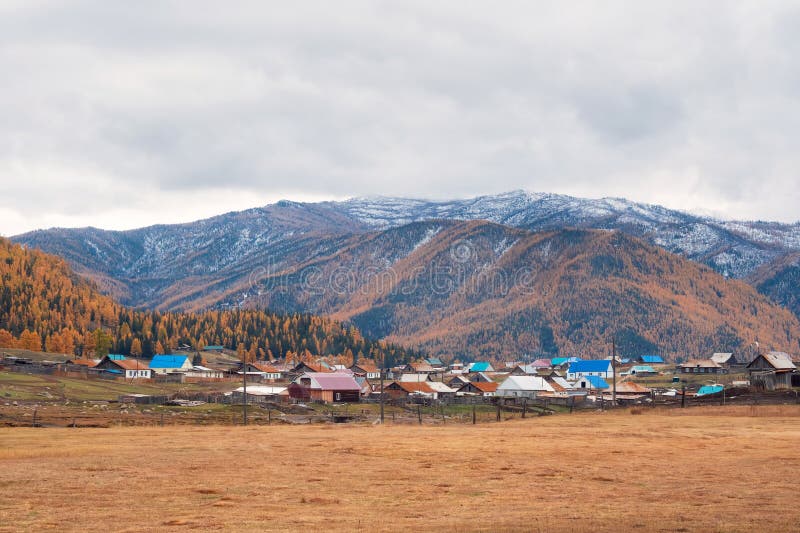 осеннее поле перед деревней в горах алтая. маленькая деревня под горой. золотой осенний пейзаж снежного стоковое изображение rf