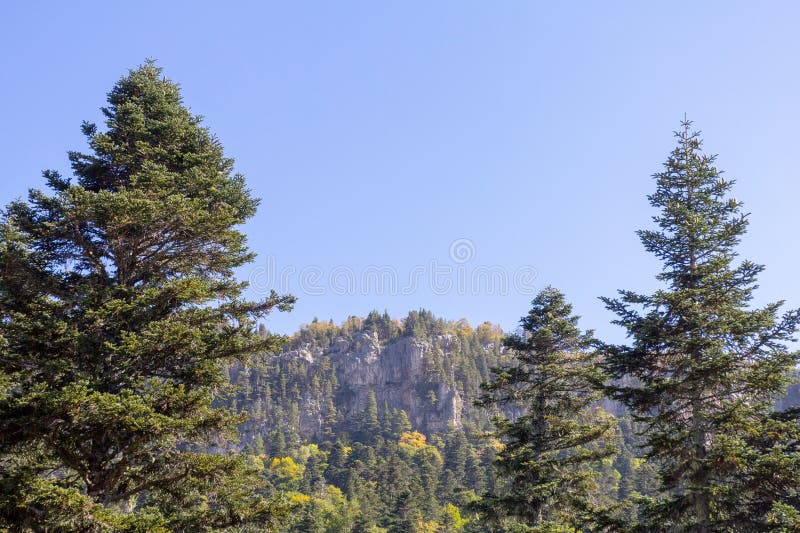 осеннее утро в природном парке горная местность и окружающая среда стоковая фотография rf