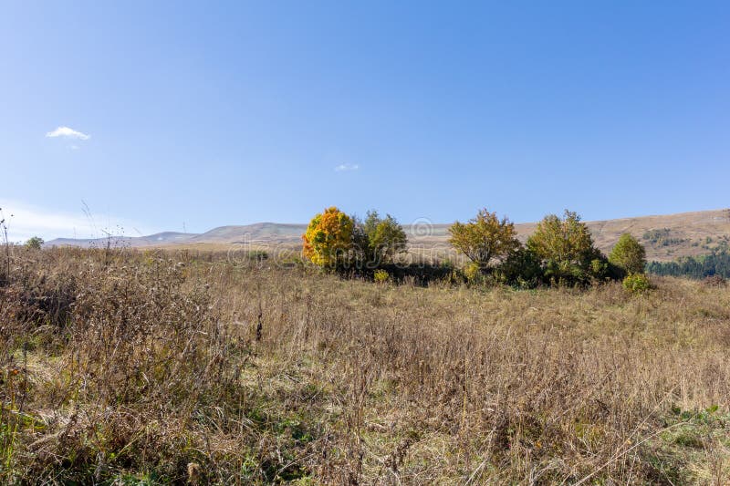 осеннее утро в природном парке горная местность и окружающая среда стоковое фото rf