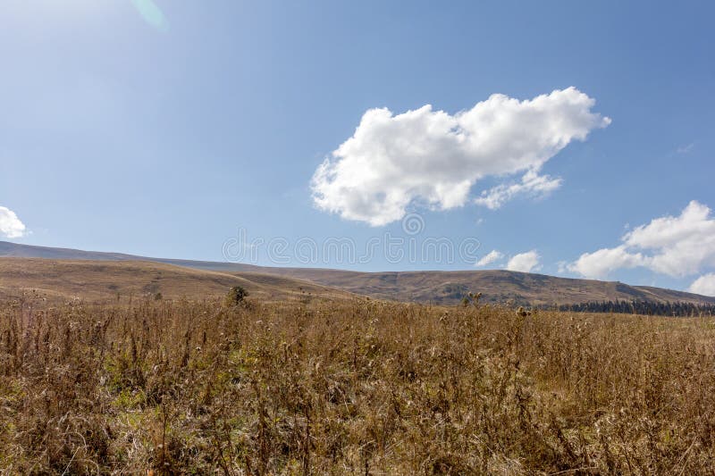 осеннее утро в природном парке горная местность и окружающая среда стоковая фотография rf
