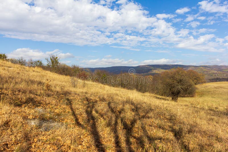 осенние прогулки по горной дороге лес и панорама области стоковые фотографии rf