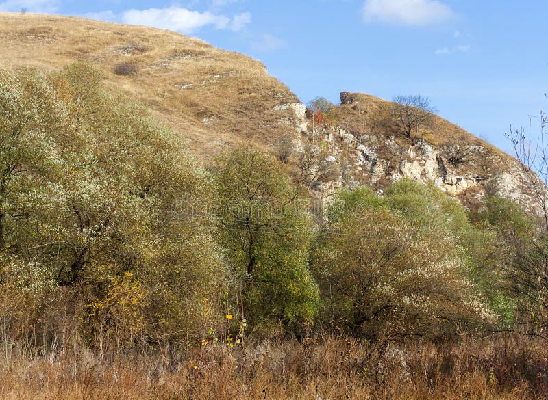 осенние прогулки по горной дороге лес и панорама области стоковые фото