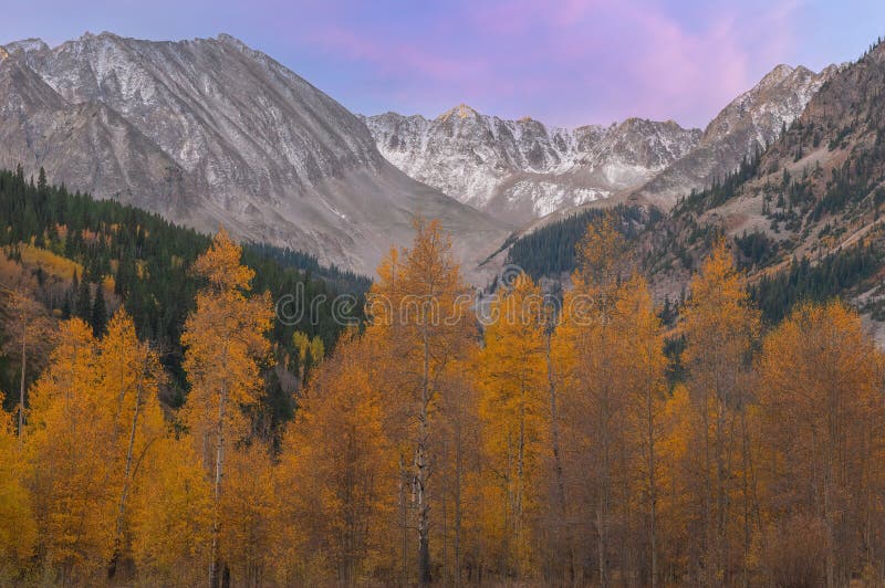 Landscape at dawn with aspens and conifers of the Elk Mountains in autumn, Castle Creek Road, near Aspen, Colorado, USA. Landscape at dawn with aspens and conifers of the Elk Mountains in autumn, Castle Creek Road, near Aspen, Colorado, USA