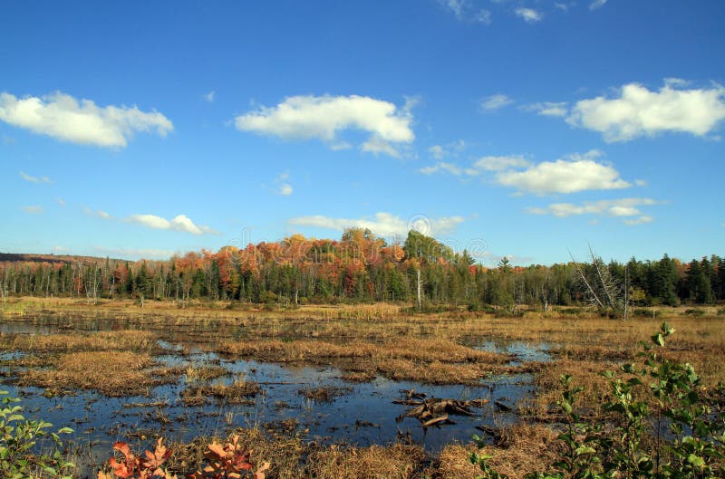 Осень в парке Adirondack стоковое изображение Осень в парке Adirondack стоковое изображение