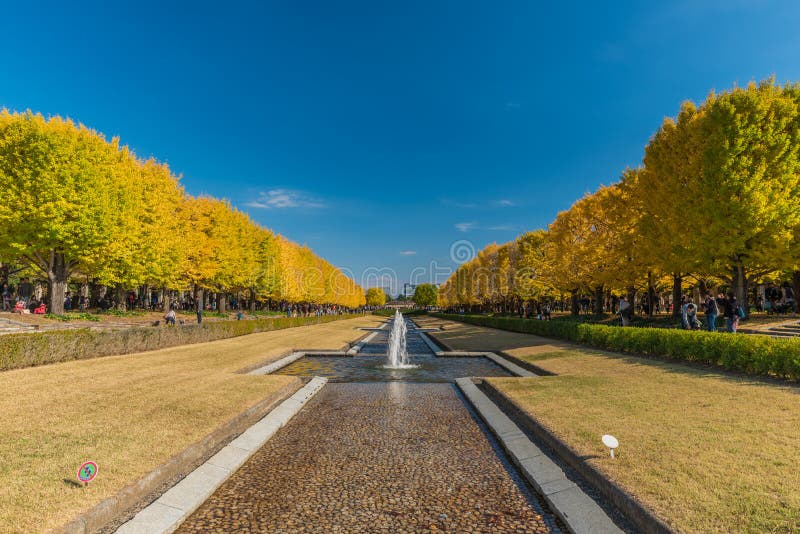 Осень в парке Showa мемориальном, Tachikawa, Японии стоковое фото rf Осень в парке Showa мемориальном, Tachikawa, Японии стоковое фото rf