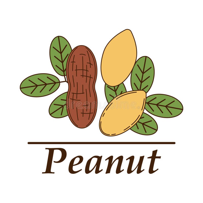 Peanut Logo Stock Illustrations 3,035 Peanut Logo Stock Illustrations, Vectors & Clipart