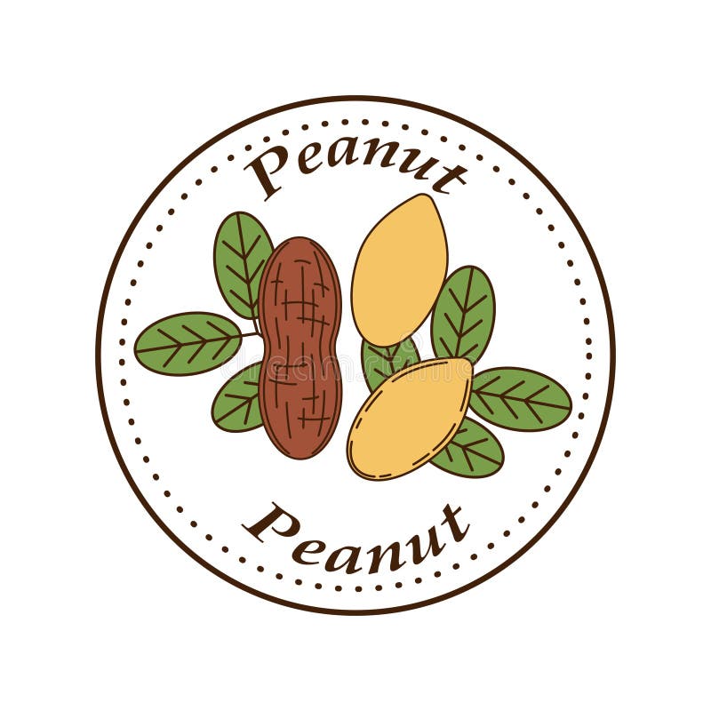 Peanut Logo Stock Illustrations 3,083 Peanut Logo Stock Illustrations