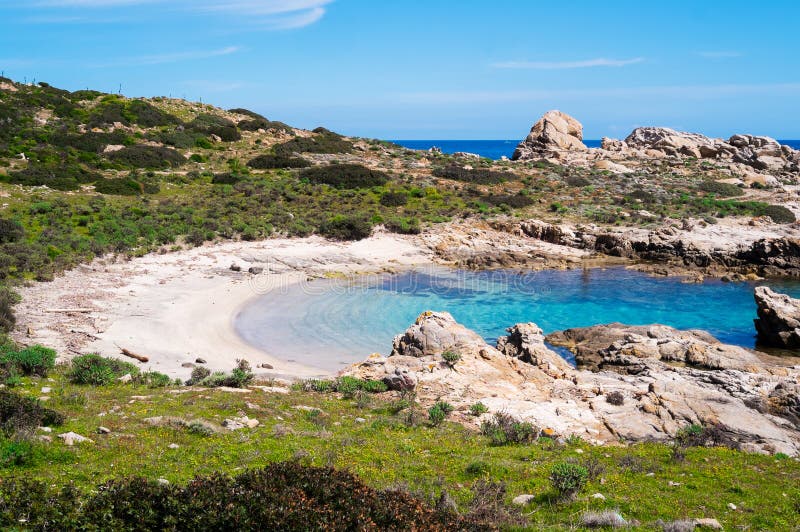 Остров Asinara в Сардинии, Италии стоковая фотография rf Остров Asinara в Сардинии, Италии стоковая фотография rf