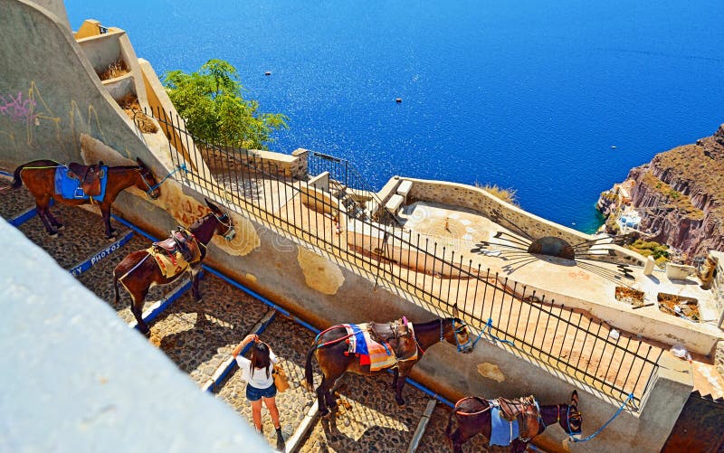Остров Греция Santorini туристической достопримечательности пути осла стоковые изображения rf Остров Греция Santorini туристической достопримечательности пути осла стоковые изображения rf