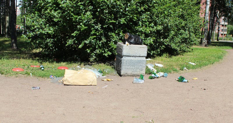 Отброс рядом с урной в бутылках парка, пластиковых и стеклянных, полиэтиленовых пакетах стоковая фотография rf Отброс рядом с урной в бутылках парка, пластиковых и стеклянных, полиэтиленовых пакетах стоковая фотография rf