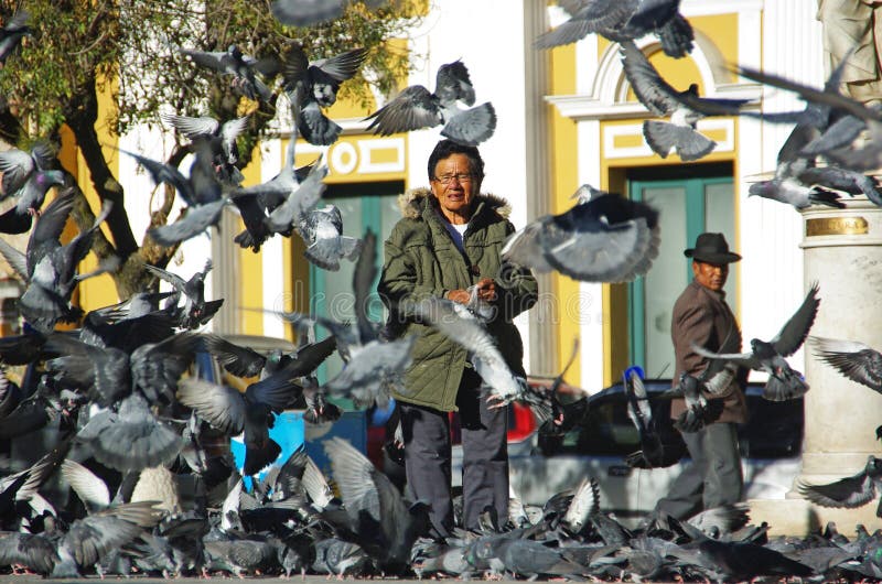 LA PAZ, BOLIVIA - Jun 02, 2019: 2 June 2019 - La Paz, Bolivia: A man stands in the middle of a city square in La Paz surrounded by pigeons. LA PAZ, BOLIVIA - Jun 02, 2019: 2 June 2019 - La Paz, Bolivia: A man stands in the middle of a city square in La Paz surrounded by pigeons