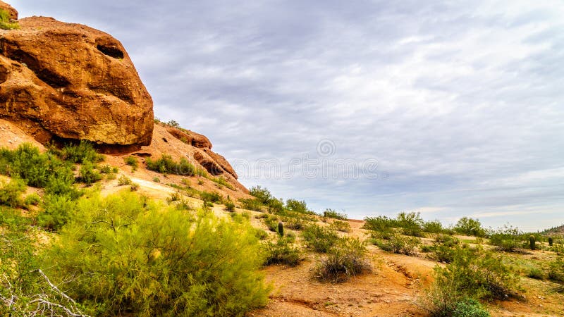 The many cracks and caves in the red sandstone buttes of Papago Park caused by erosion. Papago Park is in the city of Tempe, Arizona in the United States of America. The many cracks and caves in the red sandstone buttes of Papago Park caused by erosion. Papago Park is in the city of Tempe, Arizona in the United States of America