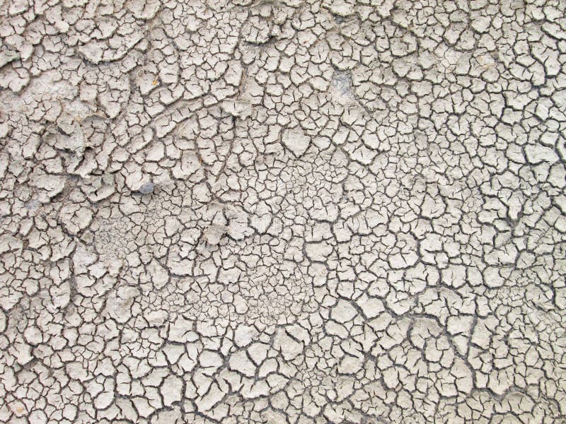 Cracks on the ground texture. Cracks on the ground texture