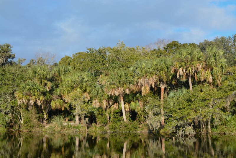 Reflection of shoreline at Kathryn Abbey Hanna Park, Duval County, Jacksonville, Florida. Reflection of shoreline at Kathryn Abbey Hanna Park, Duval County, Jacksonville, Florida