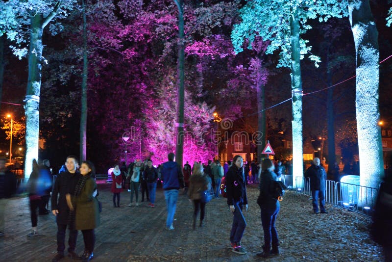 Reflection, blue lightened trees at night. people enjoying the light-festival glow in Eindhoven, Netherlands. Reflection, blue lightened trees at night. people enjoying the light-festival glow in Eindhoven, Netherlands.