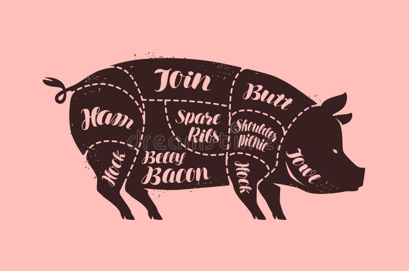 Отрезки мяса, свиньи Мясная лавка, иллюстрация вектора свинины бесплатная иллюстрация Отрезки мяса, свиньи Мясная лавка, иллюстрация вектора свинины бесплатная иллюстрация