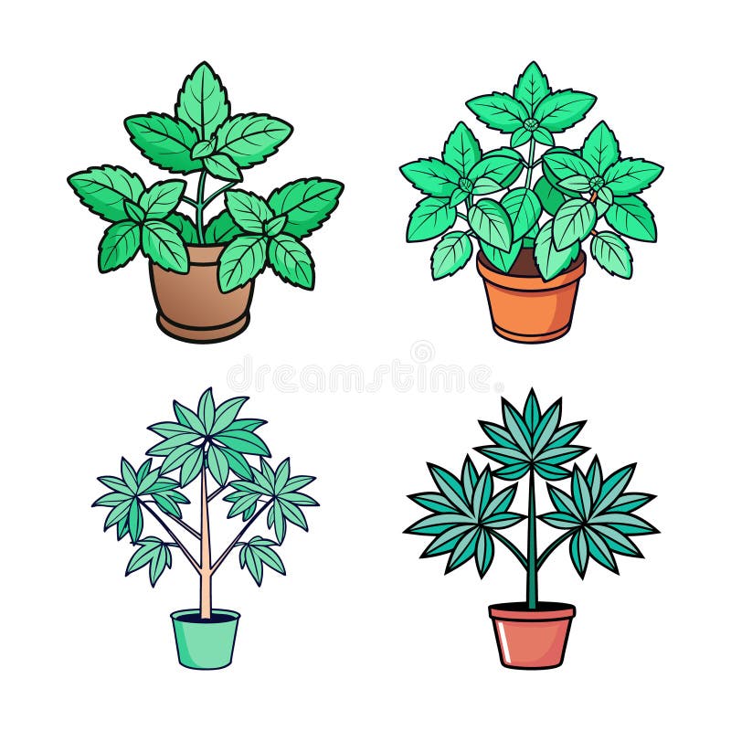 Очаровательное искусство Apple Mint Houseplant бесплатная иллюстрация