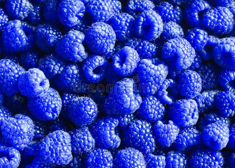 очень вкусная естественная предпосылка много зрелая необыкновенная синь fr стоковые изображения rf очень вкусная естественная предпосылка много зрелая необыкновенная синь fr стоковые изображения rf