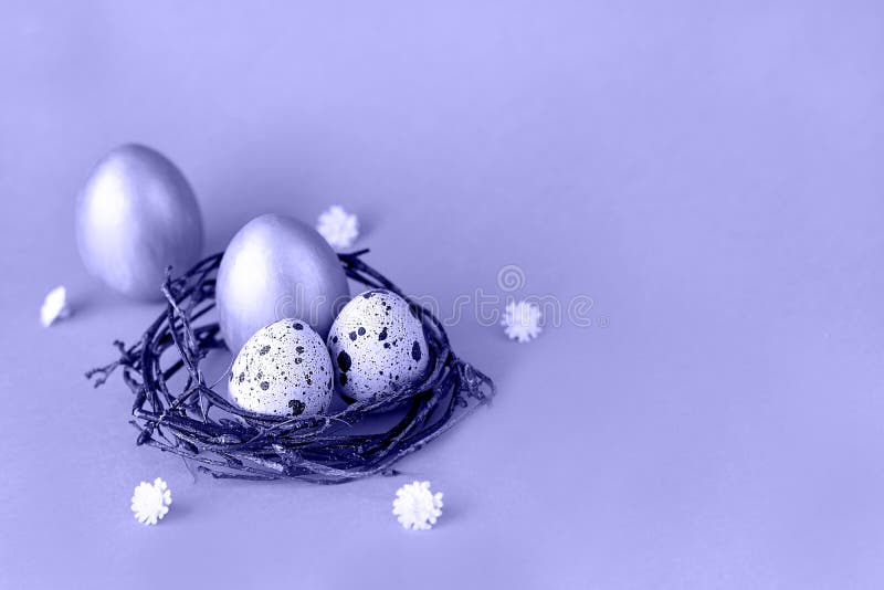 очень пери. цвет 2022 года. фиолетовые цвета. золотые пасхальные яйца в гнезде на голубом фоне с космосом стоковое фото