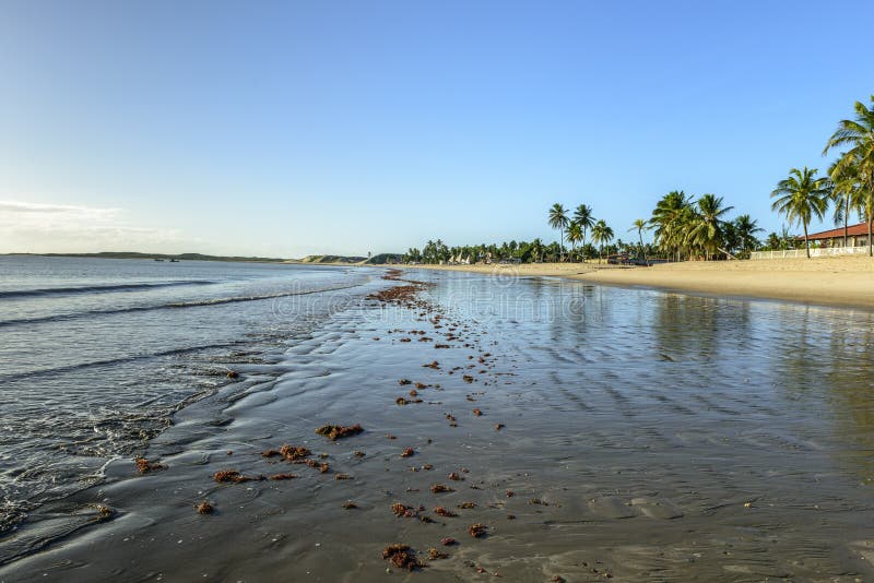 Пляж Pititinga во время отлива (Бразилия)