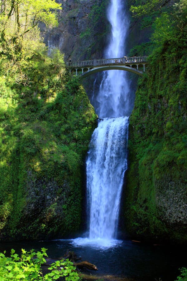 Падения Multnomah, ущелье Рекы Колумбия, Орегон стоковые фото Падения Multnomah, ущелье Рекы Колумбия, Орегон стоковые фото