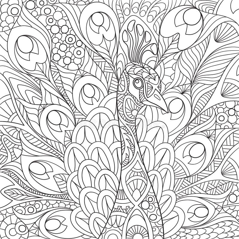 Zentangle stylized cartoon peacock with gorgeous feathers and royal crown. Sketch for adult antistress coloring page. Hand drawn doodle, zentangle, floral design elements for coloring book. Zentangle stylized cartoon peacock with gorgeous feathers and royal crown. Sketch for adult antistress coloring page. Hand drawn doodle, zentangle, floral design elements for coloring book.