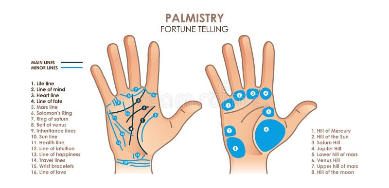Palmistry Afterlife