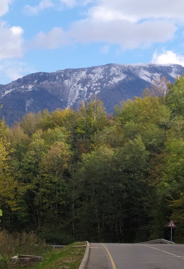 панорама горного хребта, открывающегося с трасс альпийского луга стоковое фото rf