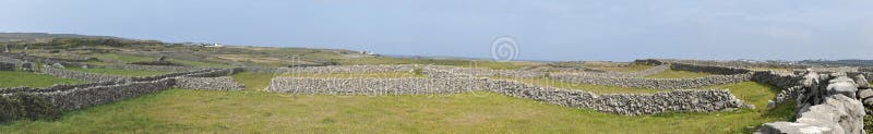 A lacework of ancient stone walls (1,600 km or 1,000 mi in all) enfolds all three islands to contain local livestock. The fields are tiny due to scale of labour - essentially you could only reclaim a small area at a time. These walls would also offer protection from the wind, reducing the likelihood of the soil being blown away. Smaller fields, more walls, greater protection. This is likely to at least part explain the plethora of small fields around the villages and the eastern coastal strip. A lacework of ancient stone walls (1,600 km or 1,000 mi in all) enfolds all three islands to contain local livestock. The fields are tiny due to scale of labour - essentially you could only reclaim a small area at a time. These walls would also offer protection from the wind, reducing the likelihood of the soil being blown away. Smaller fields, more walls, greater protection. This is likely to at least part explain the plethora of small fields around the villages and the eastern coastal strip.