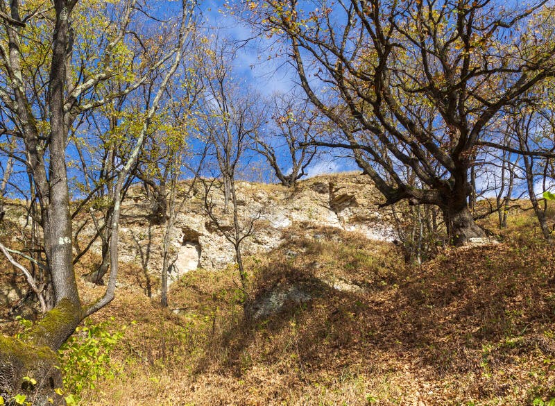 панорама парка осеннего периода в горной местности стоковое изображение rf
