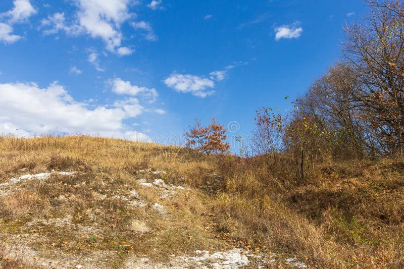 панорама парка осеннего периода в горной местности стоковое фото