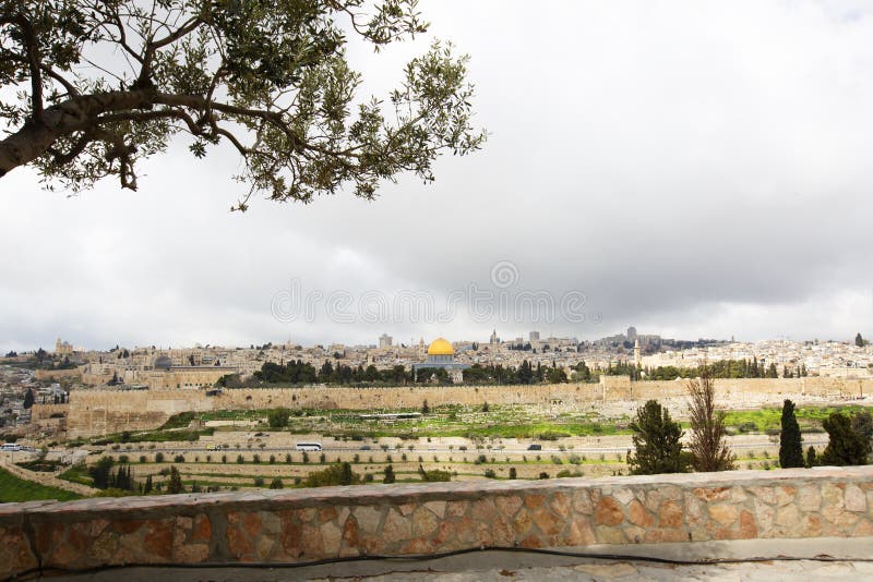 Панорамный взгляд к городу от Mount of Olives, Израилю Иерусалима старому стоковые фотографии rf Панорамный взгляд к городу от Mount of Olives, Израилю Иерусалима старому стоковые фотографии rf