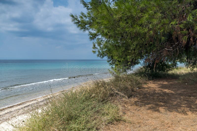 Панорамный взгляд пляжа Litheri на полуострове Sithonia, Chalkidiki, центральной македонии, Греции стоковые фото Панорамный взгляд пляжа Litheri на полуострове Sithonia, Chalkidiki, центральной македонии, Греции стоковые фото