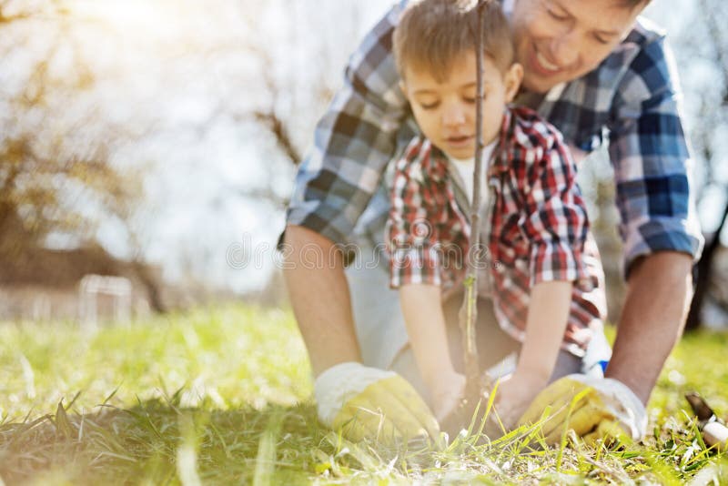 Real gardeners routine. Team of two family member taking care of nature by gardening together in backyard. Real gardeners routine. Team of two family member taking care of nature by gardening together in backyard