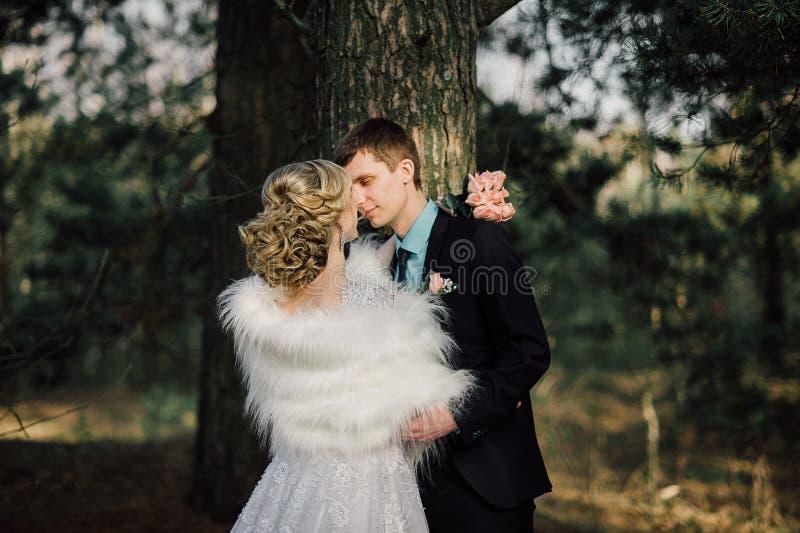 парк groom невесты целуя жених и невеста новобрачных пар на свадьбе в лесе зеленого цвета природы целует портрет фото стоковое изображение rf парк groom невесты целуя жених и невеста новобрачных пар на свадьбе в лесе зеленого цвета природы целует портрет фото стоковое изображение rf