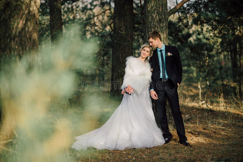 парк groom невесты целуя жених и невеста новобрачных пар на свадьбе в лесе зеленого цвета природы целует портрет фото стоковая фотография rf парк groom невесты целуя жених и невеста новобрачных пар на свадьбе в лесе зеленого цвета природы целует портрет фото стоковая фотография rf