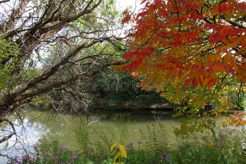 A pond in Kathryn Albertson Park, Boise, Idaho. A pond in Kathryn Albertson Park, Boise, Idaho.