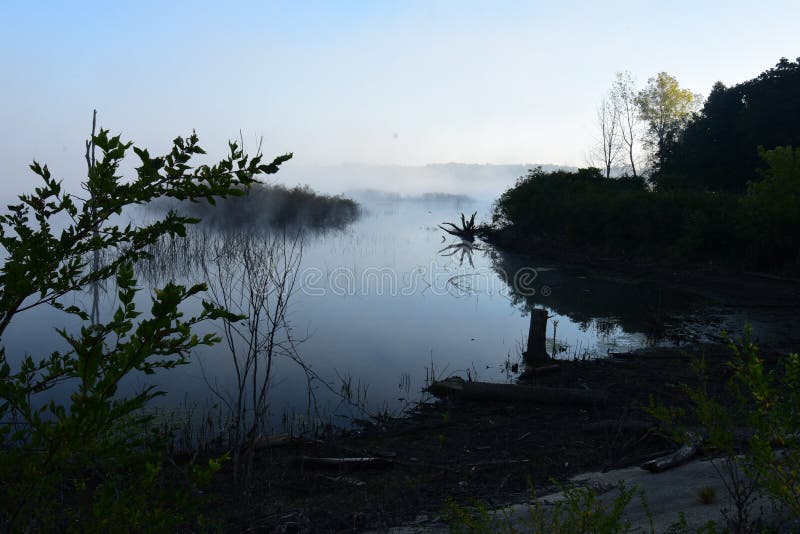 Recreational park with trees with beginning of flowering in Illinois. Recreational park with trees with beginning of flowering in Illinois